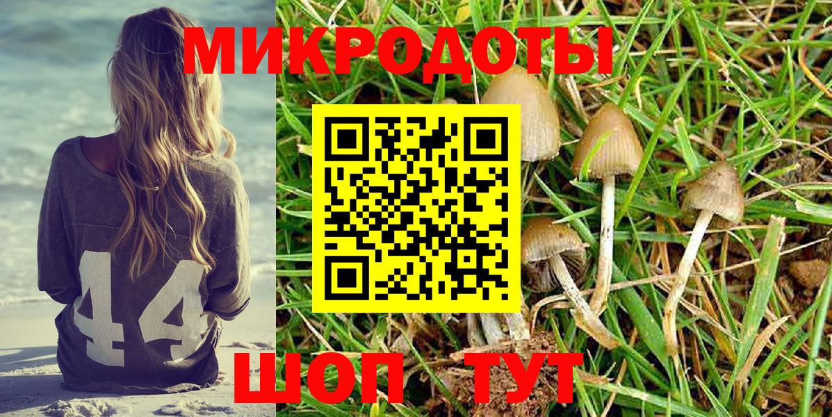Галлюциногенные грибы Magic Shrooms Рославль